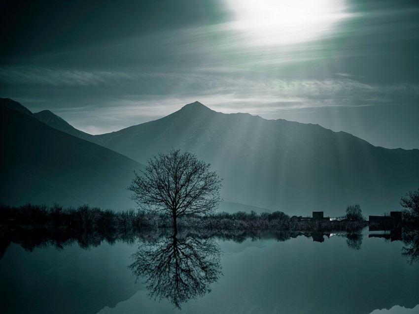 Tree Fog Lake Mountains Twilight Background