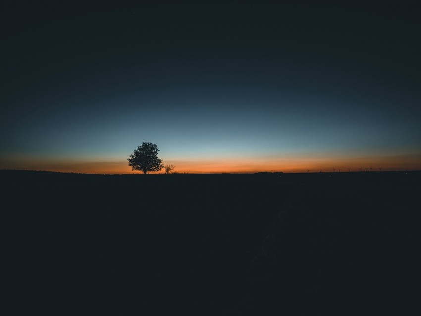 Tree Horizon Minimalism Sunset Background