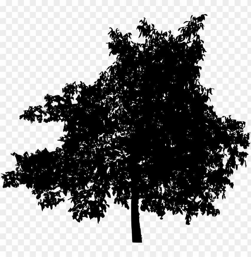 trees, wood, forest, nature,pngtree,treepng,free tree png