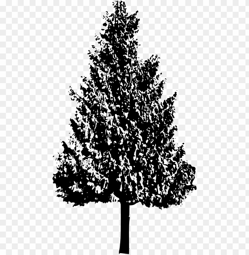 trees, wood, forest, nature,pngtree,treepng,free tree png