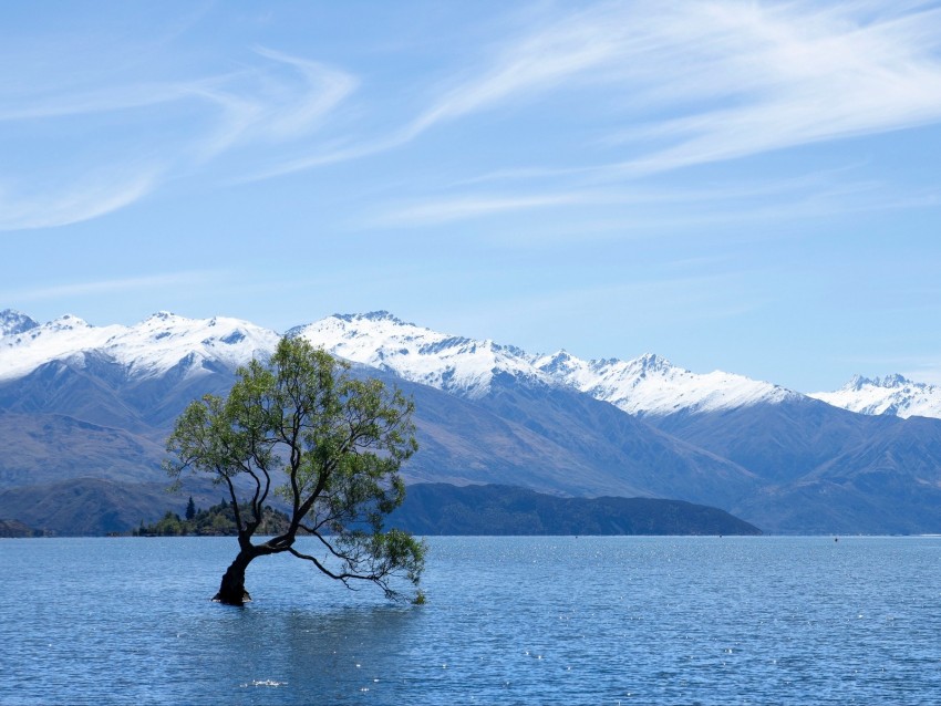 Tree Lake Mountains Wanaka New Zealand Background