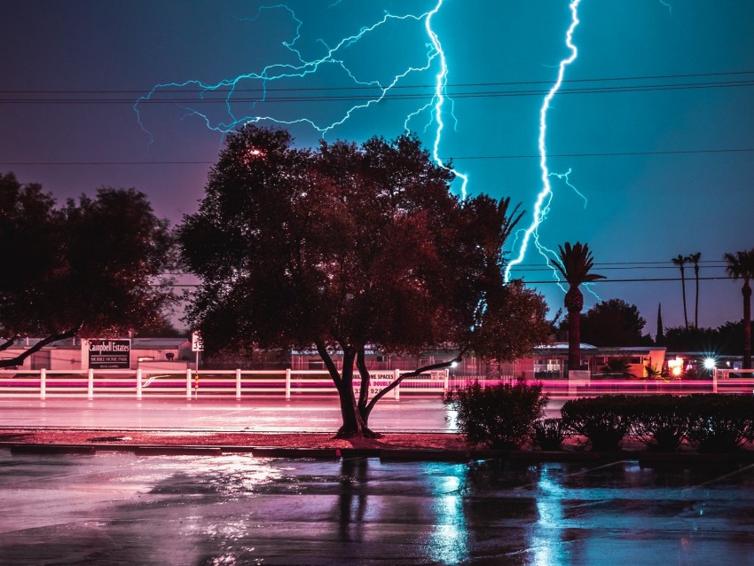 tree, lightning, night, road