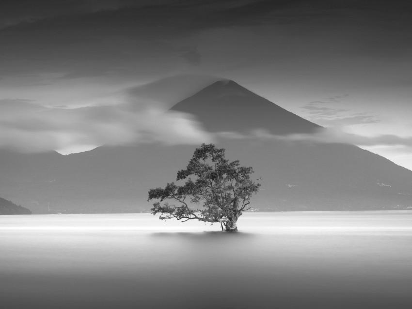 Tree Mountain Bw Minimalism Monochrome Background