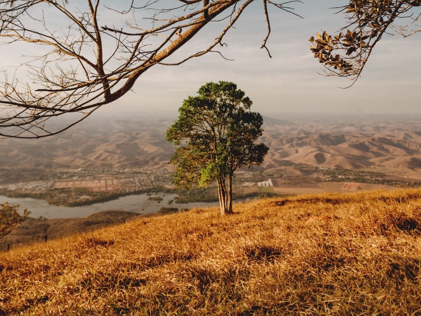 tree, mountains, river, landscape, nature