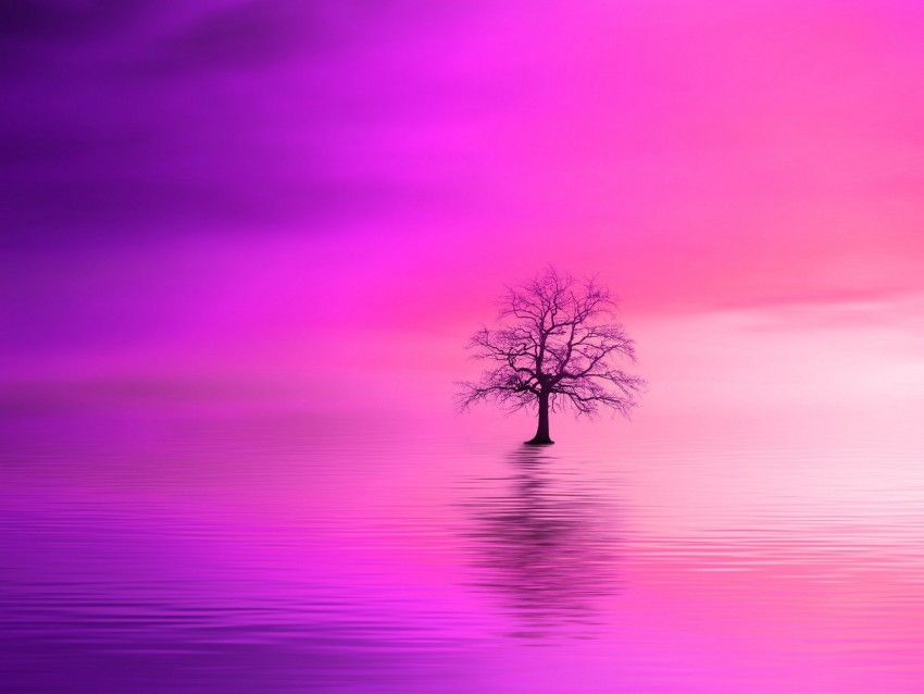 tree, pink, horizon, lonely