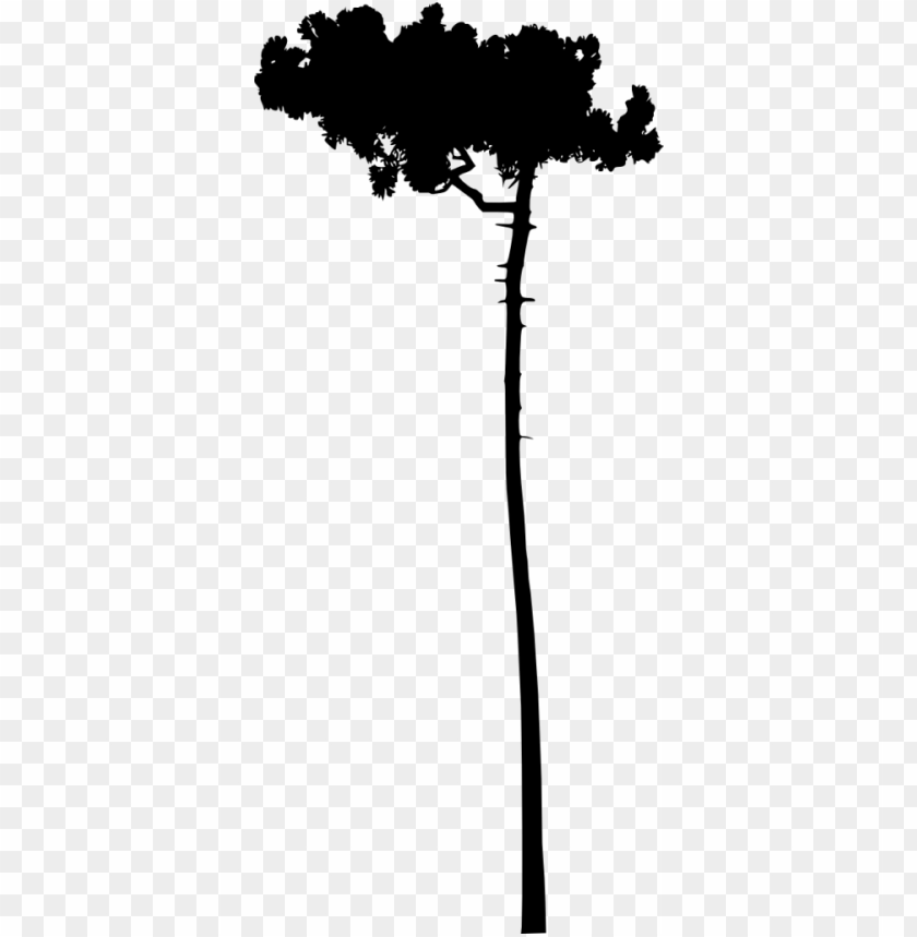 Simple icon of a tree silhouette on a transparent background PNG