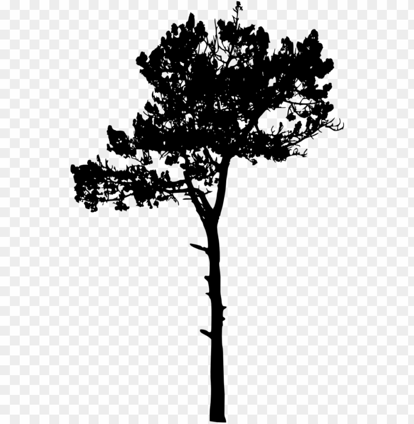 Simple black silhouette of a small tree with a transparent background PNG