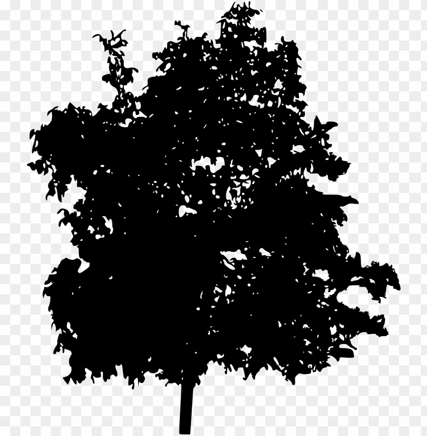 trees, wood, forest, nature,pngtree,treepng,free tree png