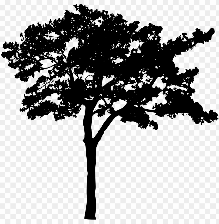 trees, wood, forest, nature,pngtree,treepng,free tree png