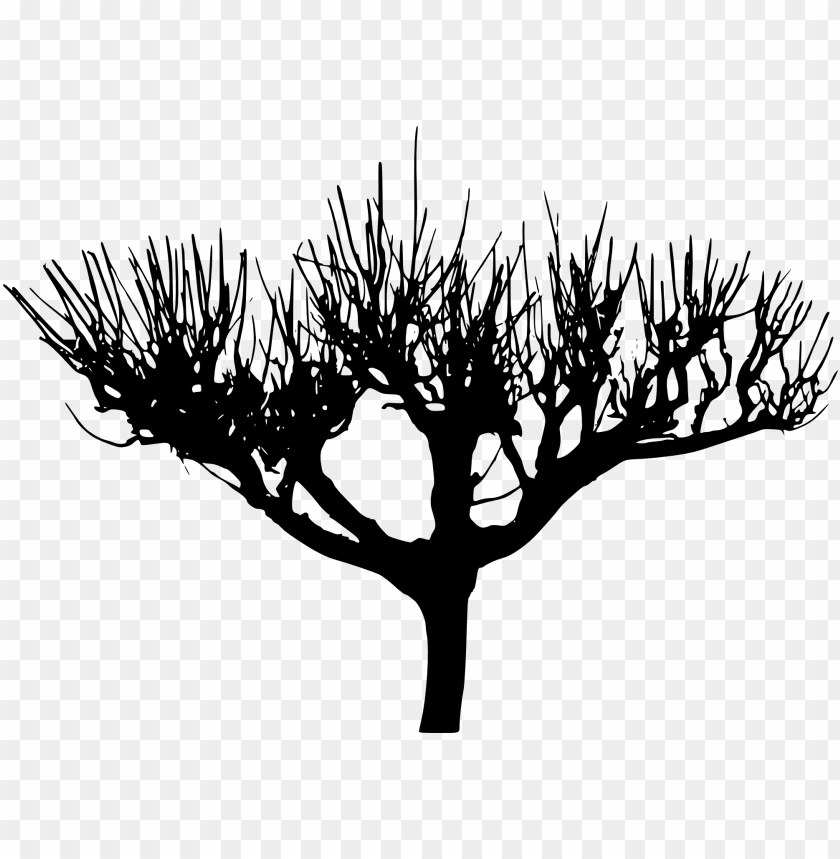 trees, wood, forest, nature,pngtree,treepng,free tree png