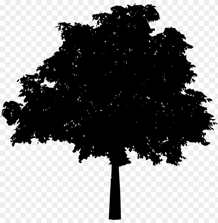 trees, wood, forest, nature,pngtree,treepng,free tree png