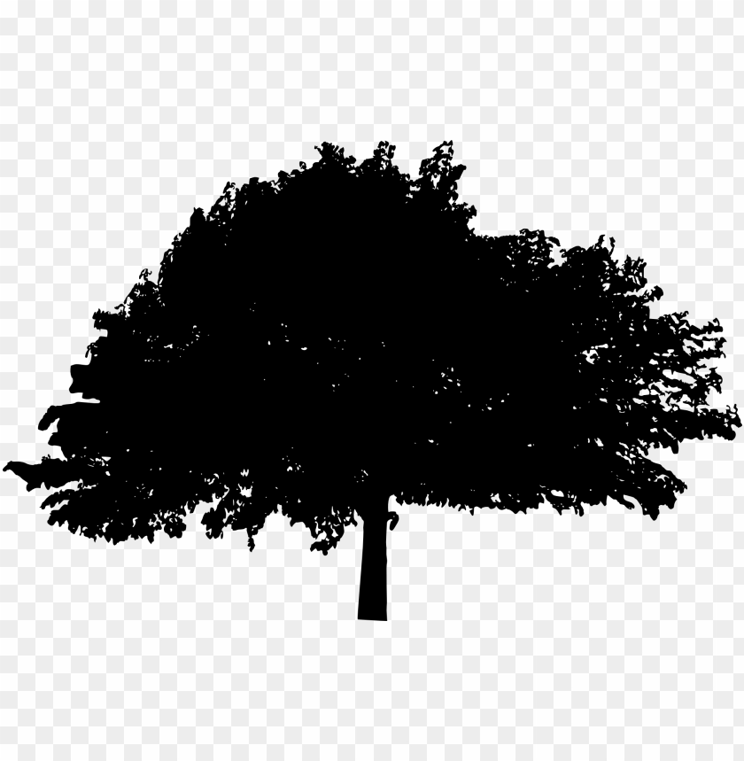 trees, wood, forest, nature,pngtree,treepng,free tree png