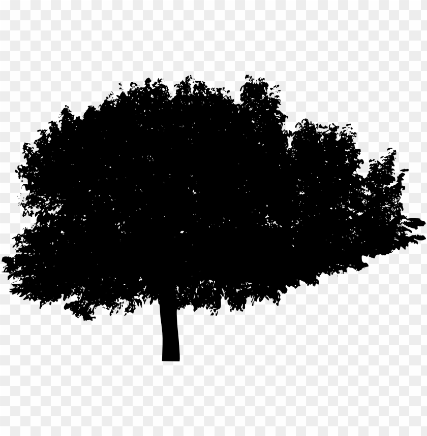 trees, wood, forest, nature,pngtree,treepng,free tree png