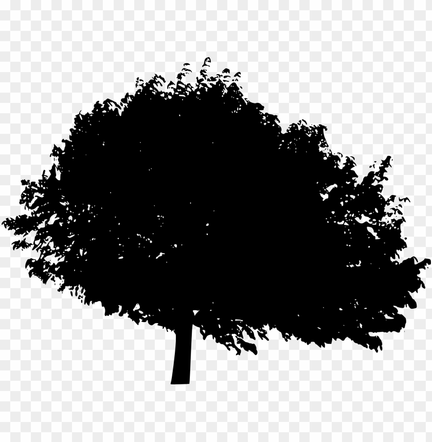 trees, wood, forest, nature,pngtree,treepng,free tree png