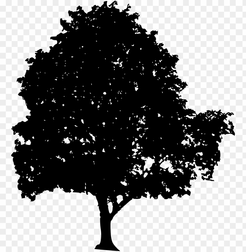 trees, wood, forest, nature,pngtree,treepng,free tree png