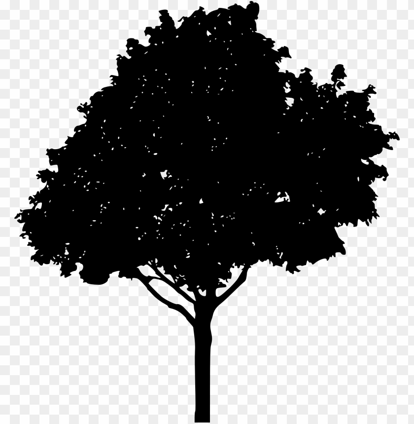 trees, wood, forest, nature,pngtree,treepng,free tree png