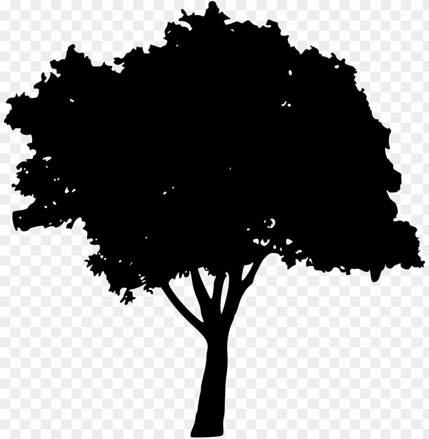 trees, wood, forest, nature,pngtree,treepng,free tree png