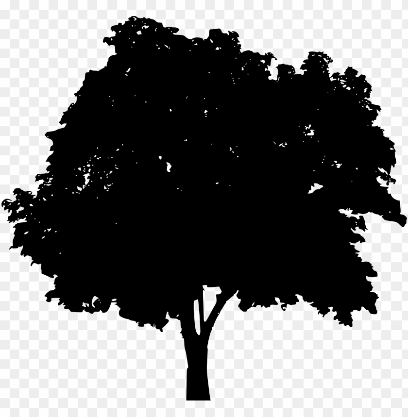 trees, wood, forest, nature,pngtree,treepng,free tree png