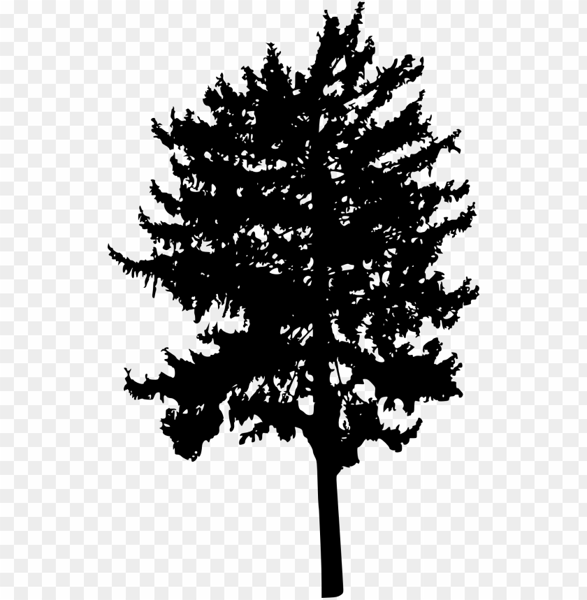 trees, evergreen, deciduous, coniferous, fruit-bearing