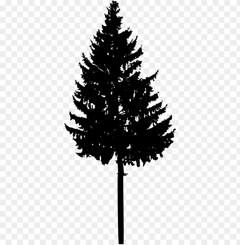 trees, wood, forest, nature,pngtree,treepng,free tree png