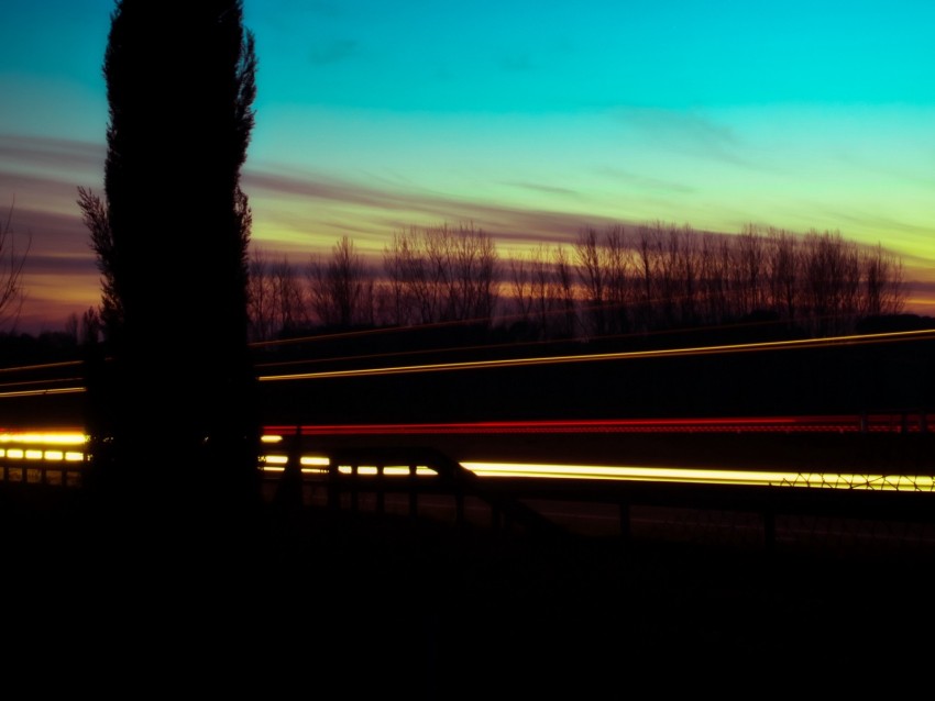 tree, silhouette, night, sky, long exposure