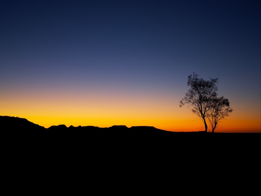 Tree Sunset Horizon Sky Outline Background