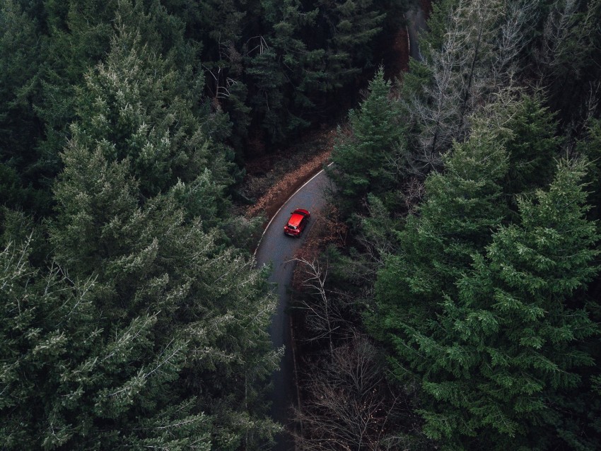 Trees Aerial View Car Forest Fog Background