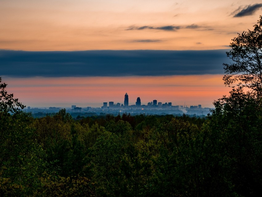 Trees City Twilight View Tops Clouds Background