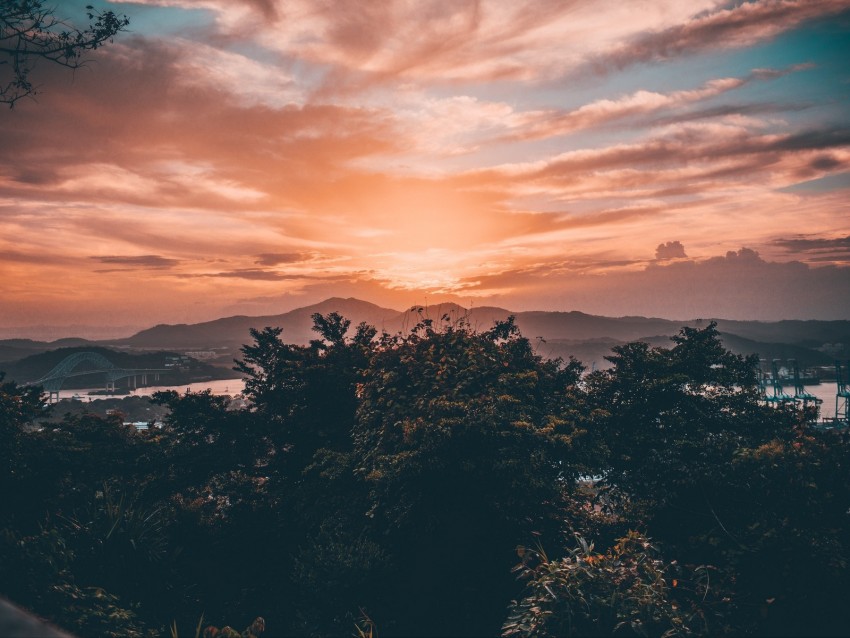 trees, clouds, sunset, sky, landscape