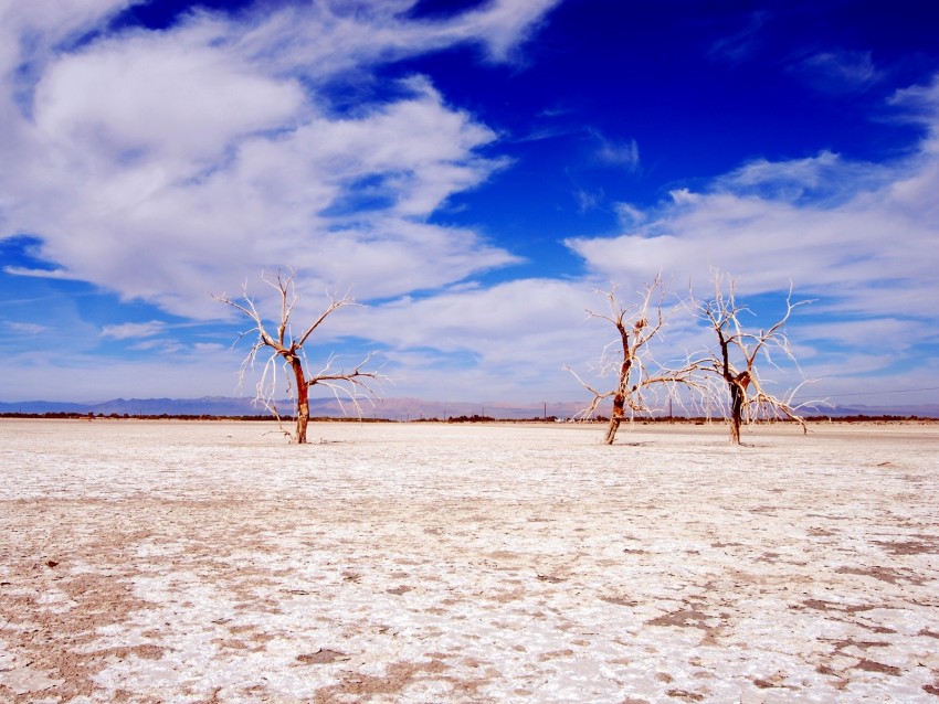 Trees Desert Branches Sky Clouds Dry Lake Background