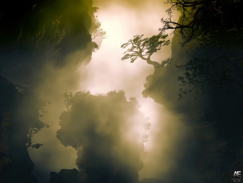 trees, fog, hills, cliffs