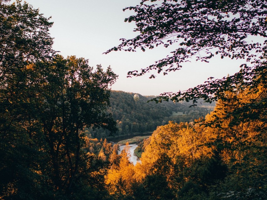 Trees Forest River Shore Landscape Background