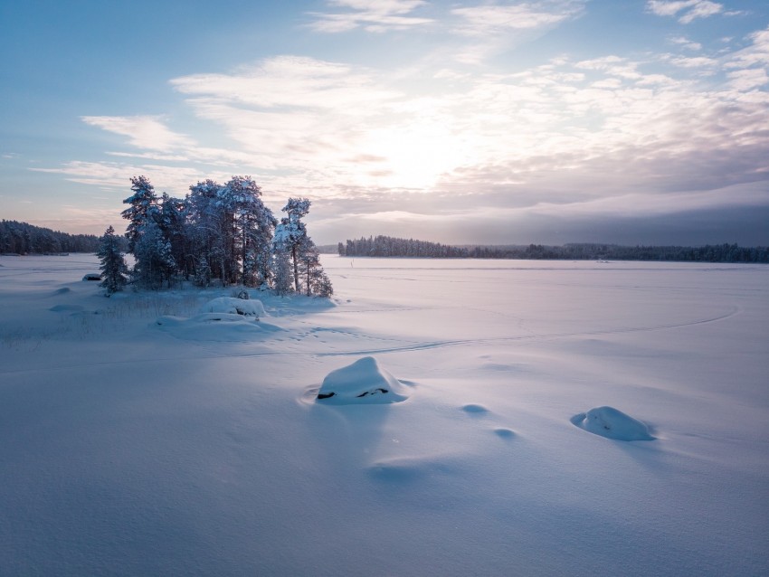 trees, landscape, snow, winter, glade