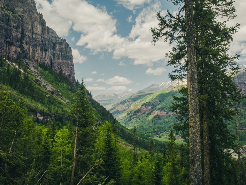 trees, mountains, landscape, forest, rocks