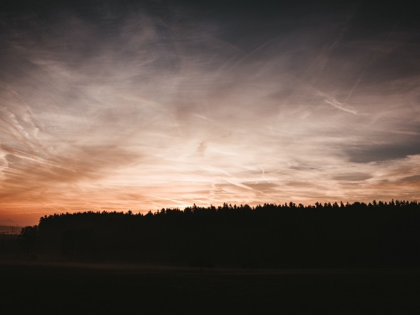 trees, outlines, sunset, sky, night