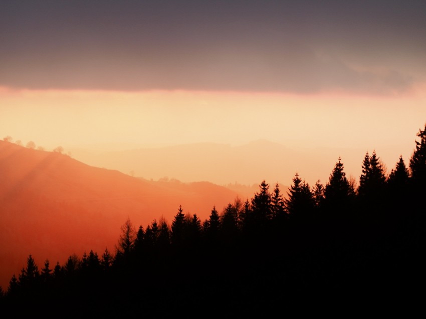 Trees Silhouettes Fog Sunset Sky Slope Background