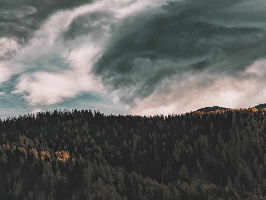 trees, sky, clouds, forest, aerial view