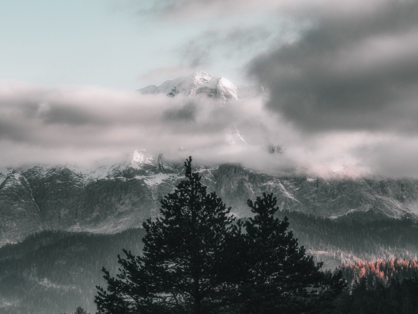 Trees Sky Mountains Clouds Fog Background