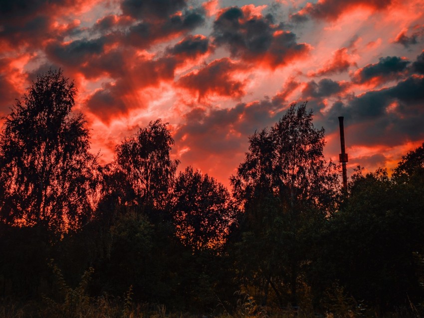 Trees Sunset Sky Clouds Autumn Evening Background