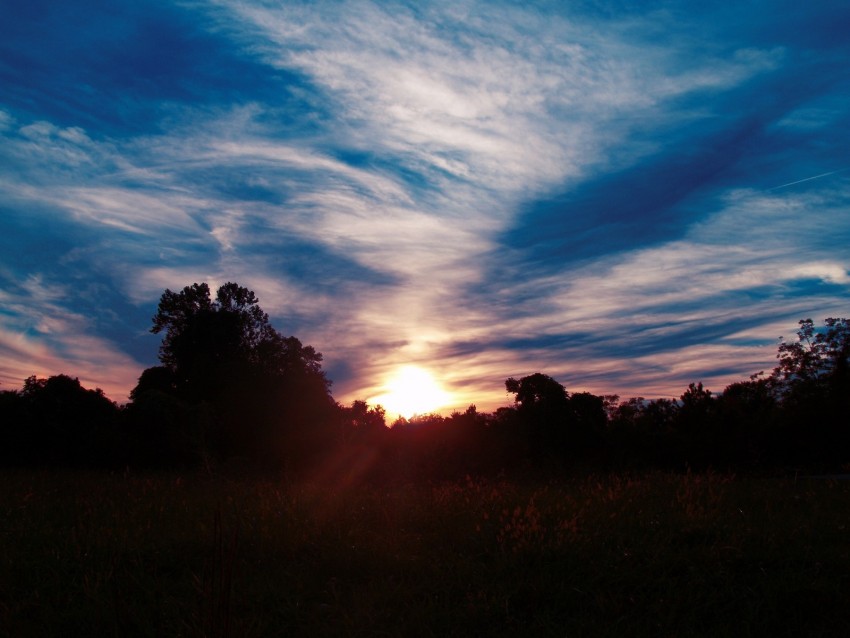 trees, sunset, sky, clouds, sunlight