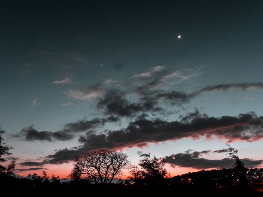 trees, sunset, sky, night, clouds, moon