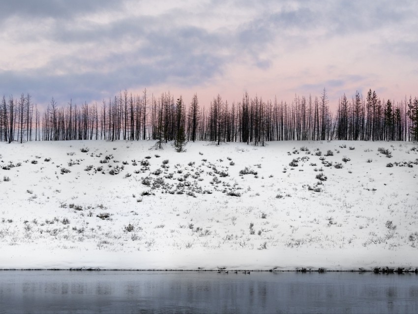 Trees Winter Snow Hill Snowy Background