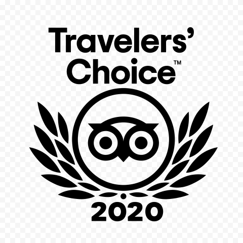 Tripadvisor Travellers Choice 2020 Badge Logo PNG Transparent Background