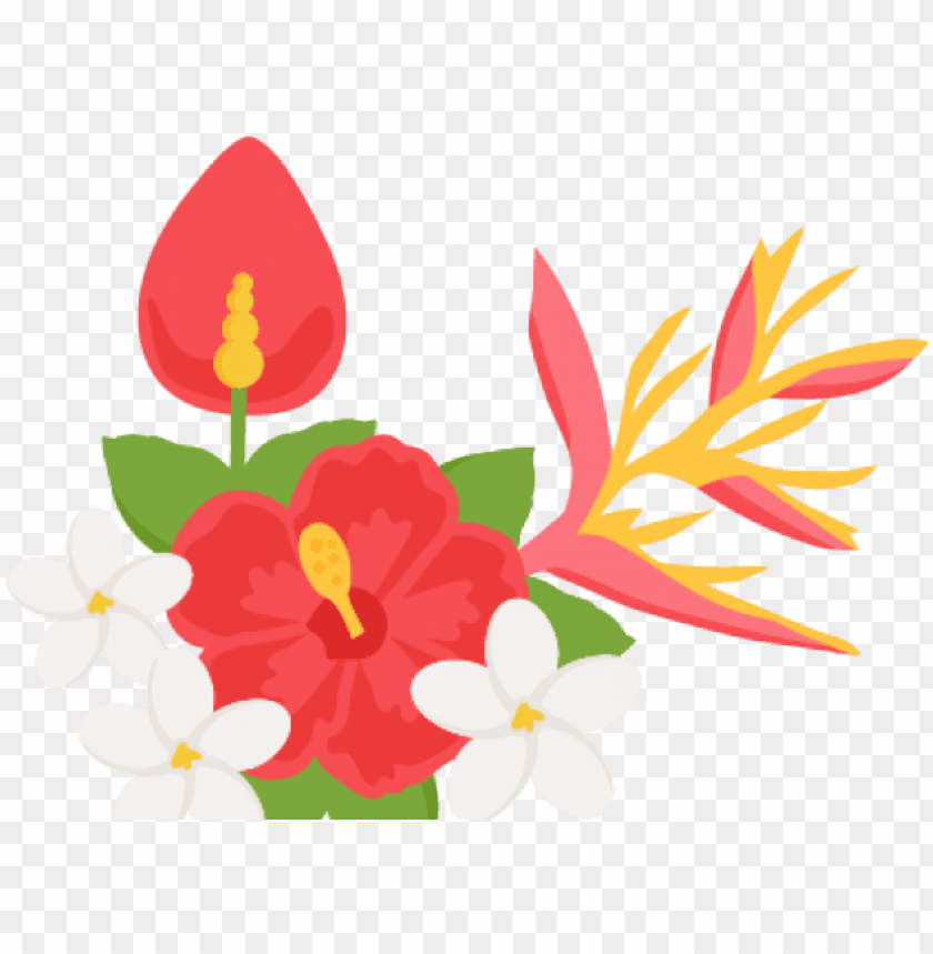 tropical flower border clipart