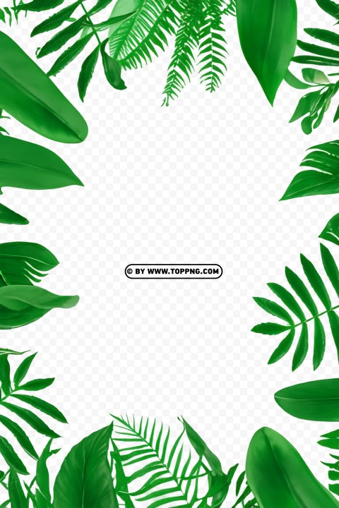 Leaves Frame, Leaves Frame Transparent PNG, Leaves Frame PNG, Nature Frame PNG, Nature Frame Transparent PNG, Nature Frame, Forest Frame PNG