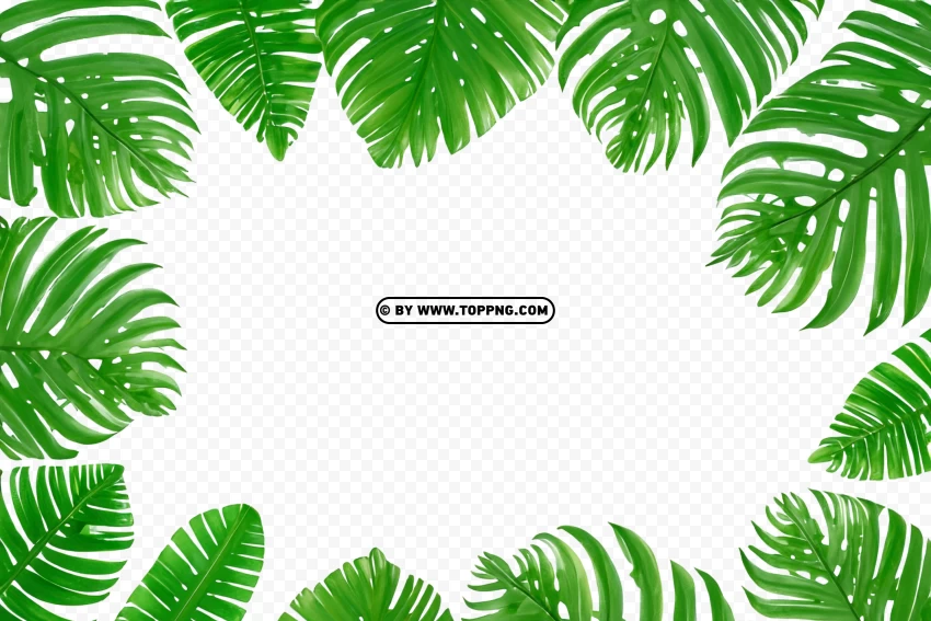 Leaves Frame, Leaves Frame Transparent PNG, Leaves Frame PNG, Nature Frame PNG, Nature Frame Transparent PNG, Nature Frame, Forest Frame PNG