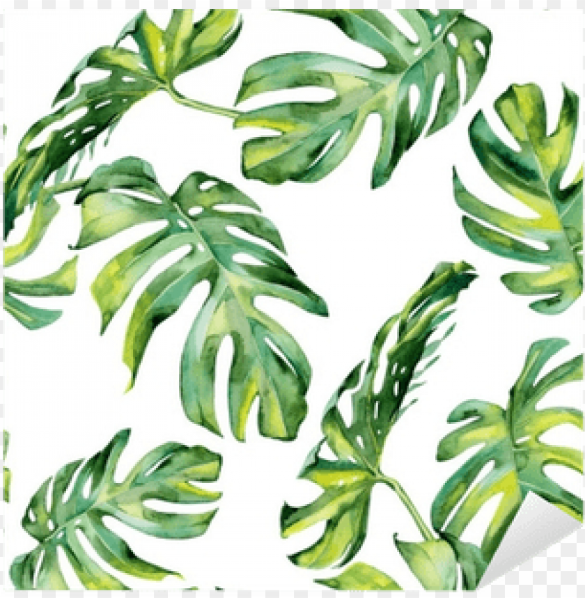 tropical leaves, watercolor leaves, jungle leaves, watercolor circle, tropical drink, christmas leaves