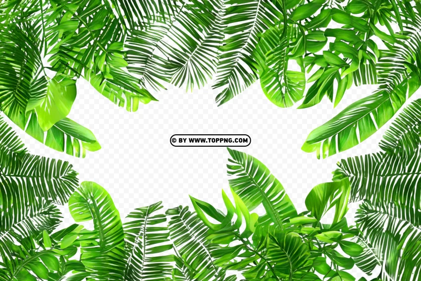 Leaves Frame, Leaves Frame Transparent PNG, Leaves Frame PNG, Nature Frame PNG, Nature Frame Transparent PNG, Nature Frame, Forest Frame PNG