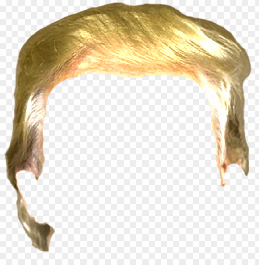 trump hair, donald trump hair, trump, donald trump face, trump face, trump head