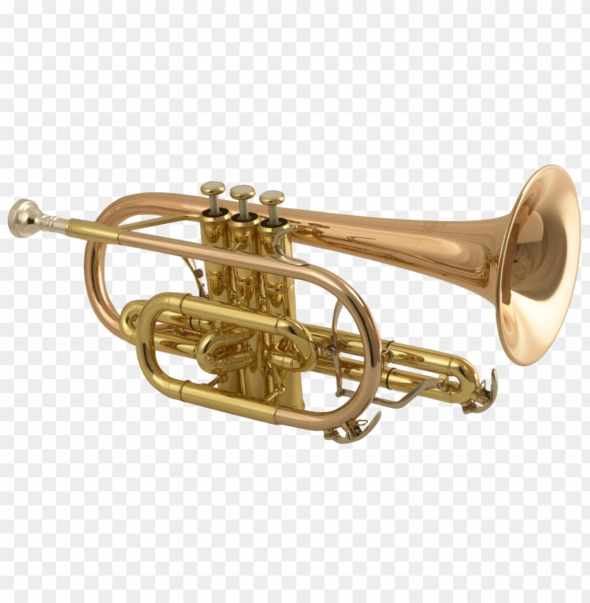 trumpet png, trumpet,png